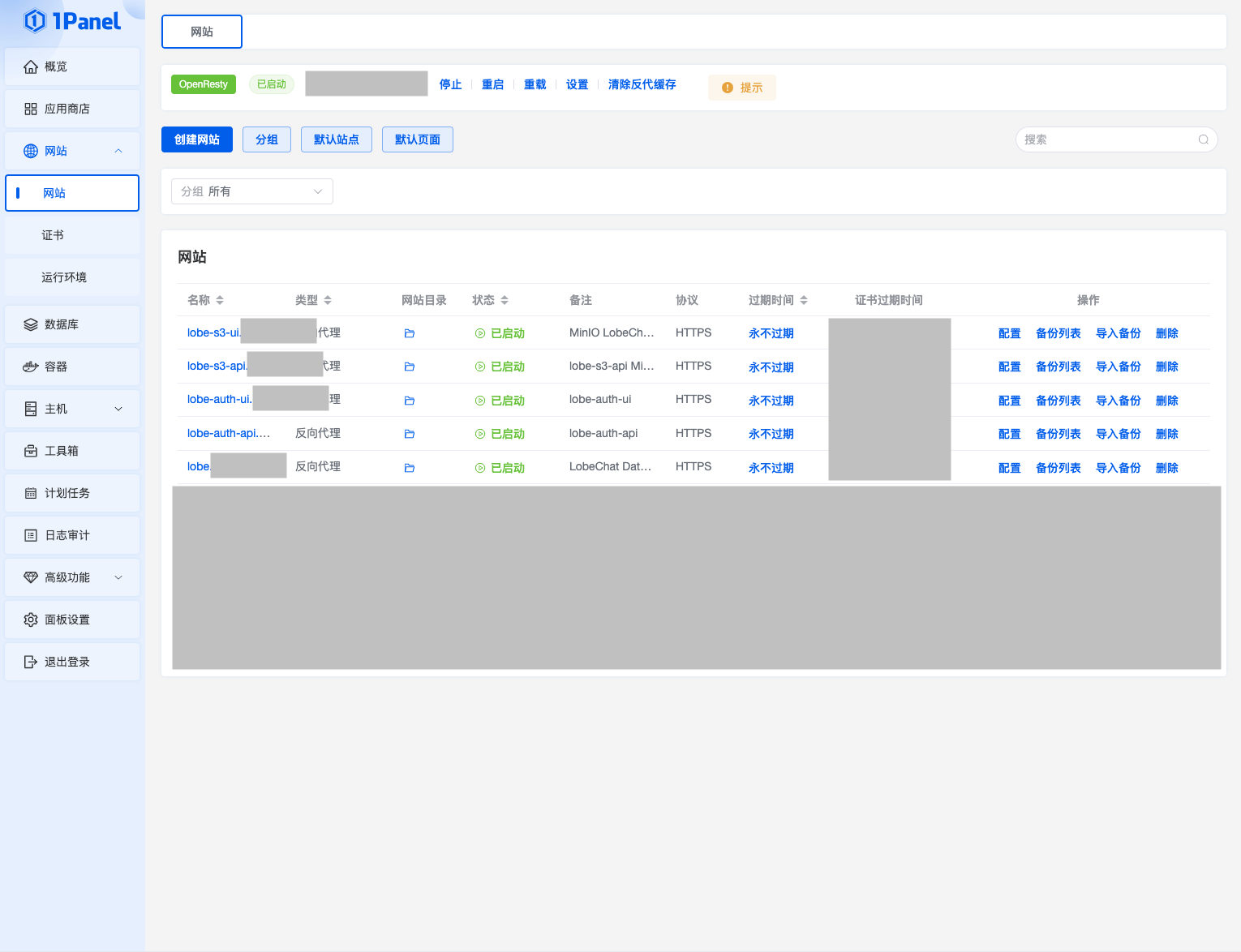 1Panel网站设置页面